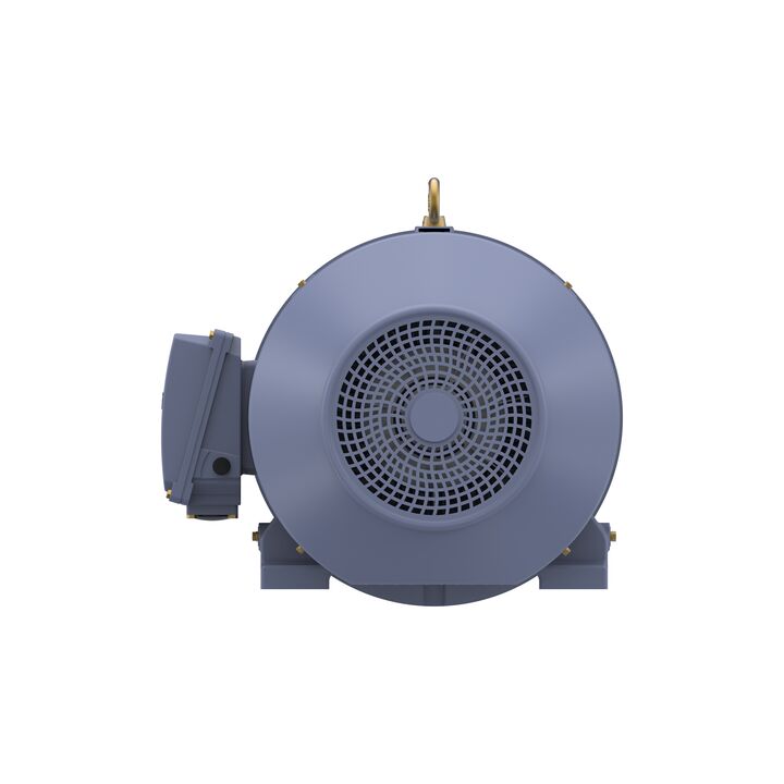 Cast Iron Motor, 40 HP, 3 Ph, 50 Hz, 400 V, 750 RPM, 250M Frame, TEFC