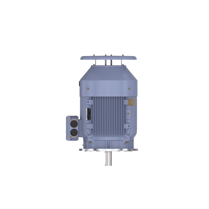Cast Iron Motor, 50 HP, 3 Ph, 50 Hz, 415 V, 200L Frame