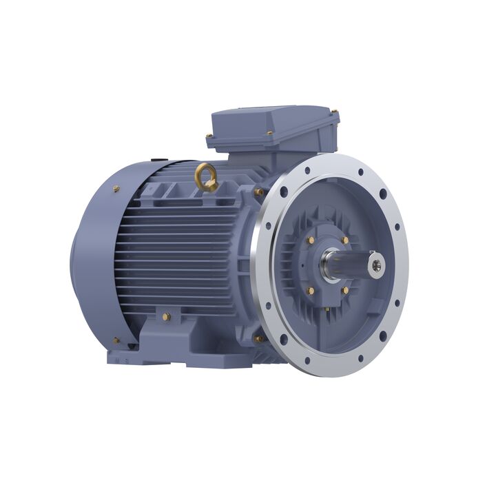 Cast Iron Motor, 50 HP, 3 Ph, 50 Hz, 400 V, 1000 RPM, 250M Frame, TEFC