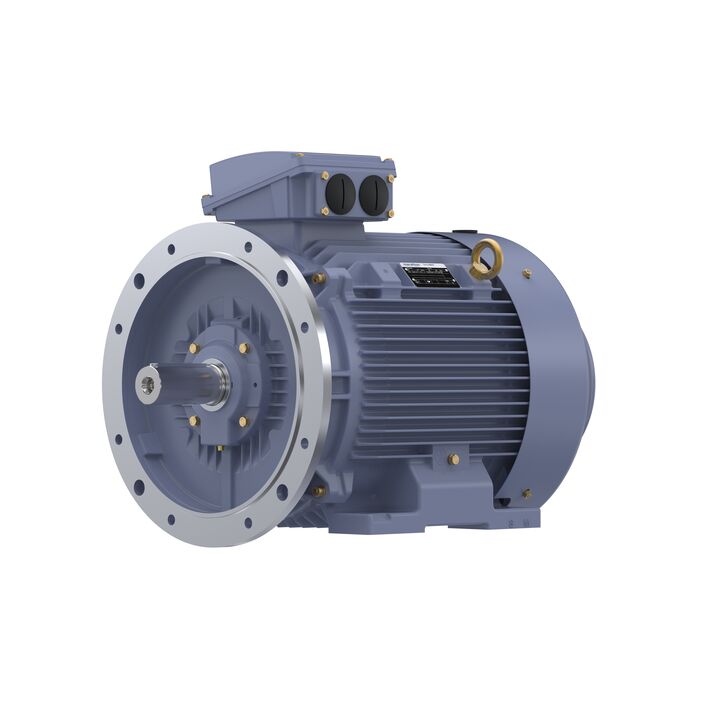 Cast Iron Motor, 50 HP, 3 Ph, 50 Hz, 415 V, 200L Frame