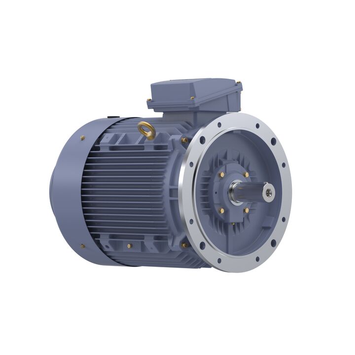 Cast Iron Motor, 40 HP, 3 Ph, 50 Hz, 415 V, 250M Frame