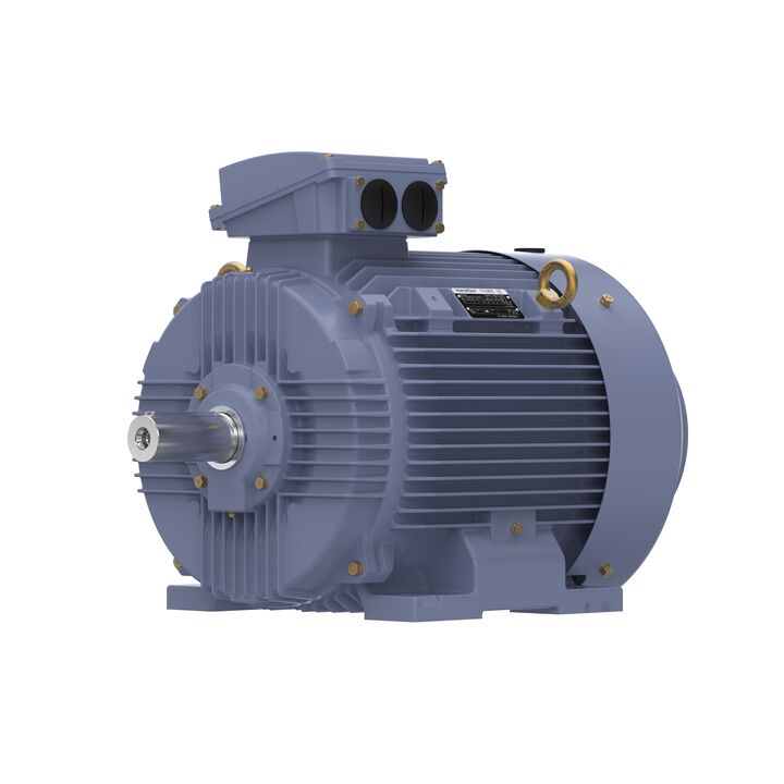 Cast Iron Motor, 40 HP, 3 Ph, 50 Hz, 380 V, 750 RPM, 250M Frame, TEFC