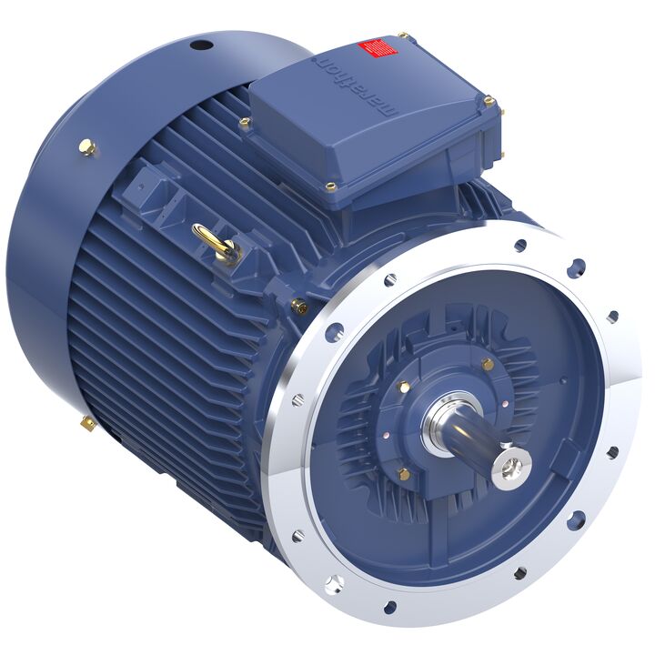 Cast Iron Motor, 75 HP, 3 Ph, 50 Hz, 400 V, 3000 RPM, 250M Frame, TEFC