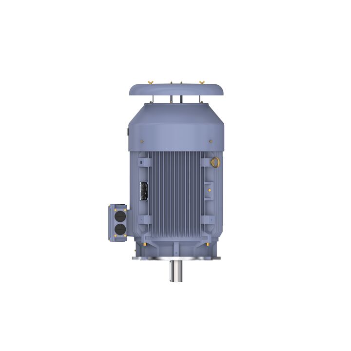 Cast Iron Motor, 60 HP, 3 Ph, 50 Hz, 380 V, 1000 RPM, 280S Frame, TEFC