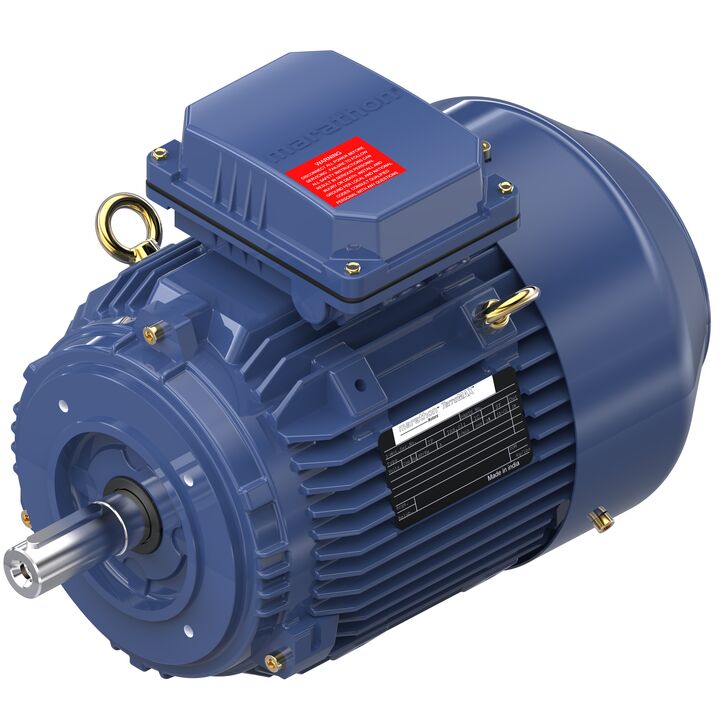 Cast Iron Motor, 1.50 & 1 HP, 3 Ph, 60 & 50 Hz, 230/460 & 200/400 V, 1200 & 1000 RPM, 100L Frame, TEFC