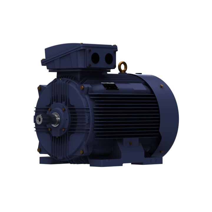 Cast Iron Motor, 150 HP, 3 Ph, 50 Hz, 400 V, 750 RPM, 315L Frame, TEFC