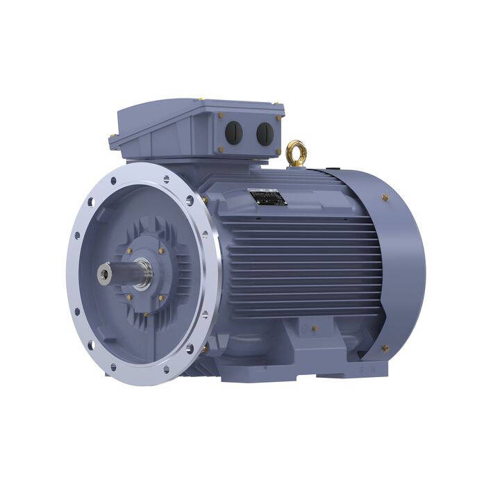 Cast Iron Motor, 150 HP, 3 Ph, 50 Hz, 380 V, 1000 RPM, 315L Frame, TEFC