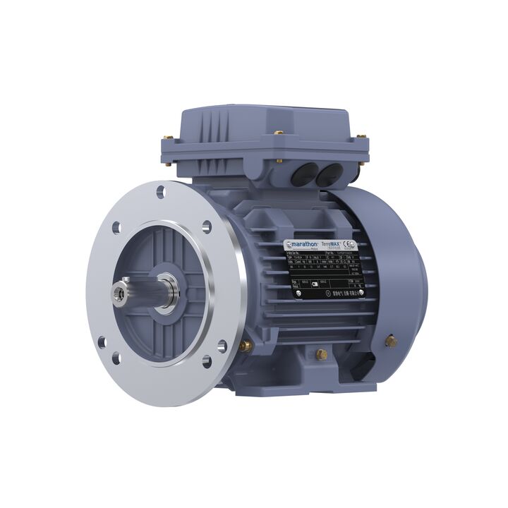 Cast Iron Motor, 1.50 HP, 3 Ph, 50 Hz, 380 V, 1500 RPM, 90S Frame, TEFC