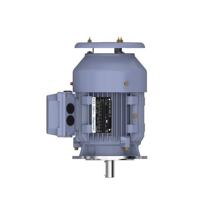 Cast Iron Motor, 1.50 HP, 3 Ph, 50 Hz, 380 V, 1500 RPM, 90S Frame, TEFC