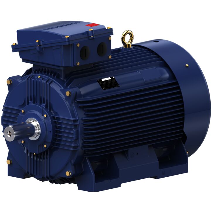 Cast Iron Motor, 150 HP, 3 Ph, 50 Hz, 400 V, 750 RPM, 315L Frame, TEFC