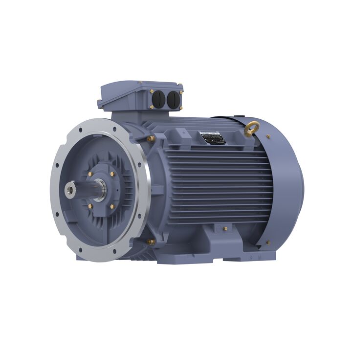 Cast Iron Motor, 60 HP, 3 Ph, 50 Hz, 380 V, 1000 RPM, 280S Frame, TEFC