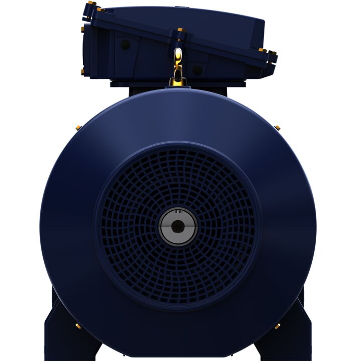 Cast Iron Motor, 150 HP, 3 Ph, 50 Hz, 400 V, 750 RPM, 315L Frame, TEFC