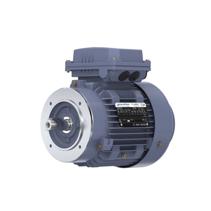 Cast Iron Motor, 1.50 HP, 3 Ph, 50 Hz, 380 V, 1000 RPM, 90L Frame, TEFC