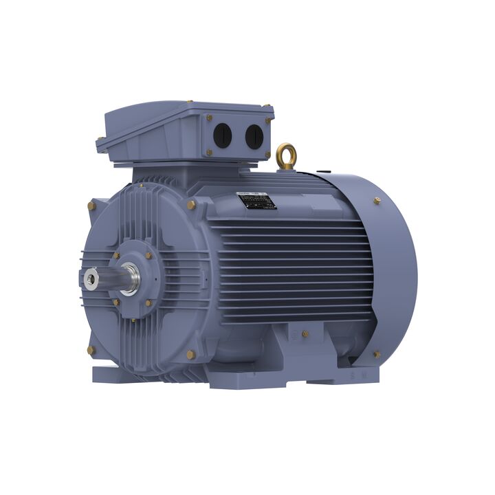Cast Iron Motor, 150 HP, 3 Ph, 50 Hz, 380 V, 1000 RPM, 315L Frame, TEFC