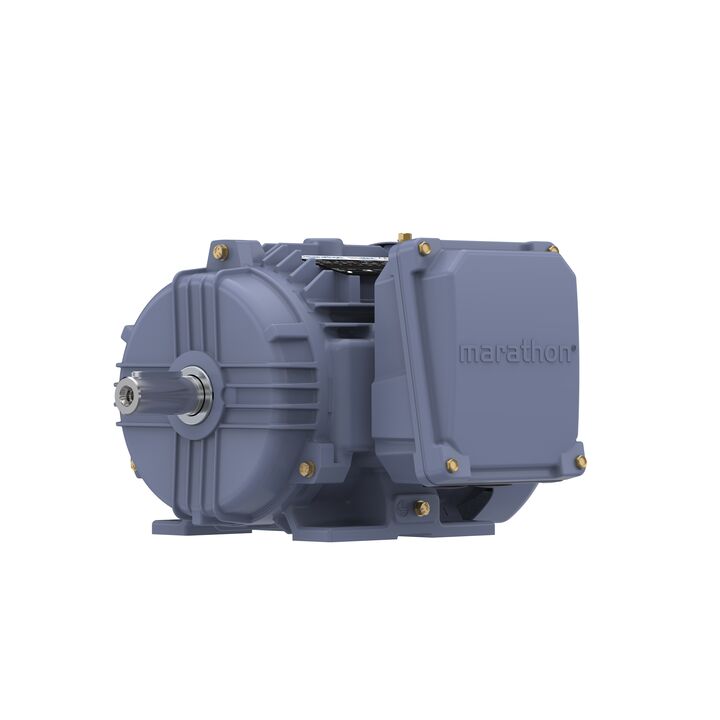 Cast Iron Motor, 1.50 HP, 3 Ph, 50 Hz, 380 V, 1500 RPM, 90S Frame, TEFC