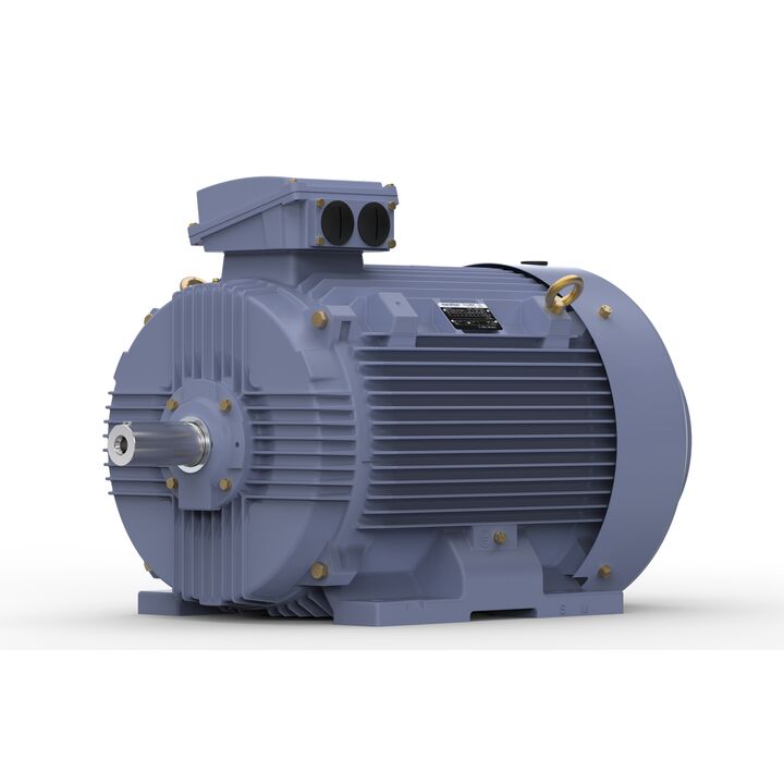 Cast Iron Motor, 60 HP, 3 Ph, 50 Hz, 380 V, 1000 RPM, 280S Frame, TEFC