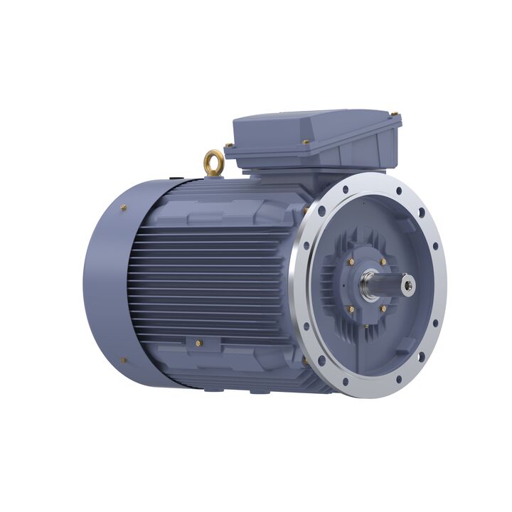 Cast Iron Motor, 215 HP, 3 Ph, 50 Hz, 400 V, 3000 RPM, 315L Frame, TEFC