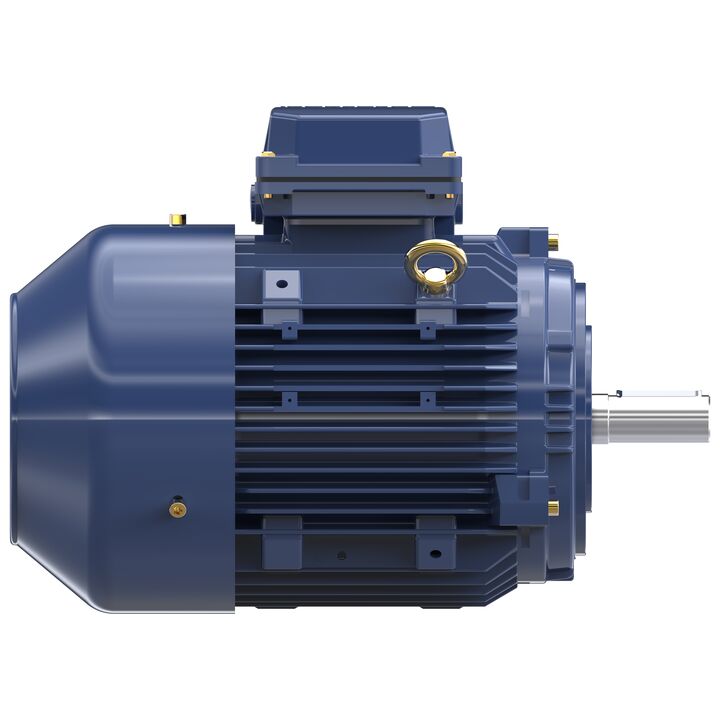 Cast Iron Motor, 1.50 & 1 HP, 3 Ph, 60 & 50 Hz, 230/460 & 200/400 V, 1200 & 1000 RPM, 100L Frame, TEFC
