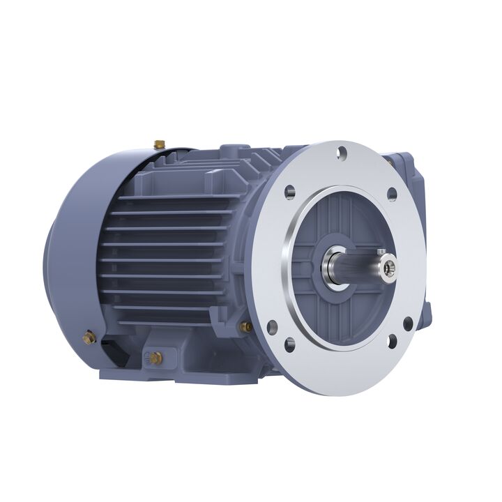 Cast Iron Motor, 2 HP, 3 Ph, 50 Hz, 380 V, 1500 RPM, 90L Frame, TEFC
