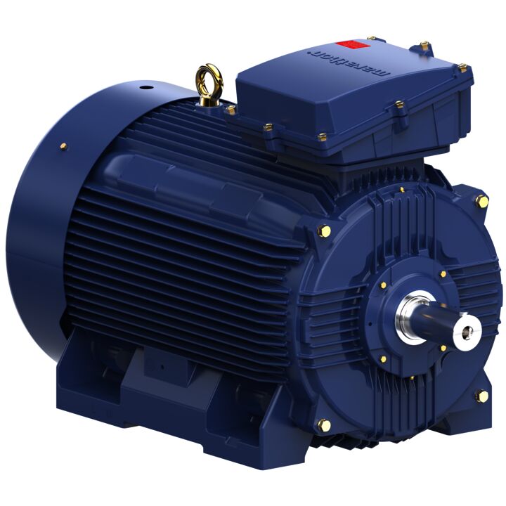 Cast Iron Motor, 150 HP, 3 Ph, 50 Hz, 400 V, 750 RPM, 315L Frame, TEFC