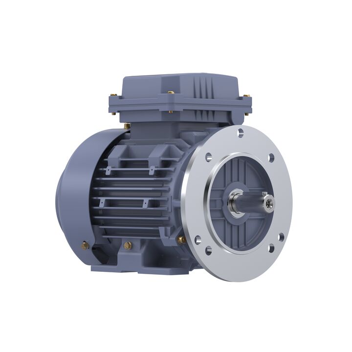 Cast Iron Motor, 2 HP, 3 Ph, 50 Hz, 380 V, 1500 RPM, 90L Frame, TEFC