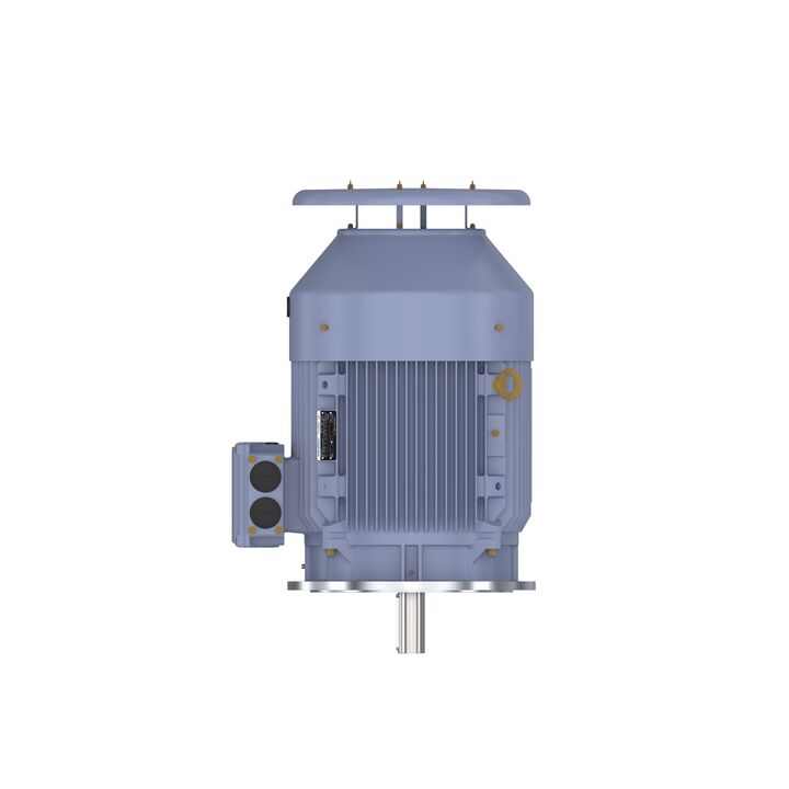 Cast Iron Motor, 75 HP, 3 Ph, 50 Hz, 380 V, 1500 RPM, 250M Frame, TEFC