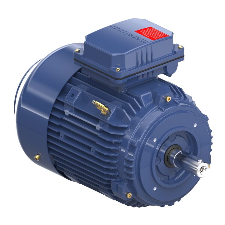 Cast Iron Motor, 1.50 & 1 HP, 3 Ph, 60 & 50 Hz, 230/460 & 200/400 V, 1200 & 1000 RPM, 100L Frame, TEFC