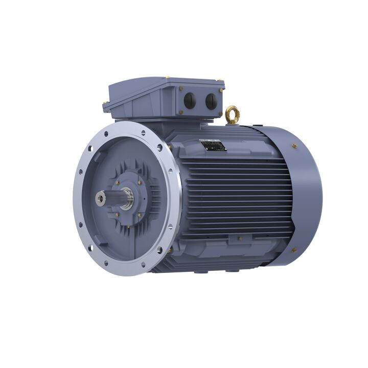 Cast Iron Motor, 60 HP, 3 Ph, 50 Hz, 380 V, 1000 RPM, 280S Frame, TEFC
