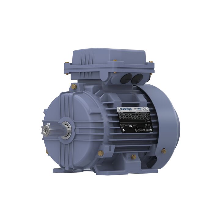 Cast Iron Motor, 1.50 HP, 3 Ph, 50 Hz, 380 V, 1000 RPM, 90L Frame, TEFC