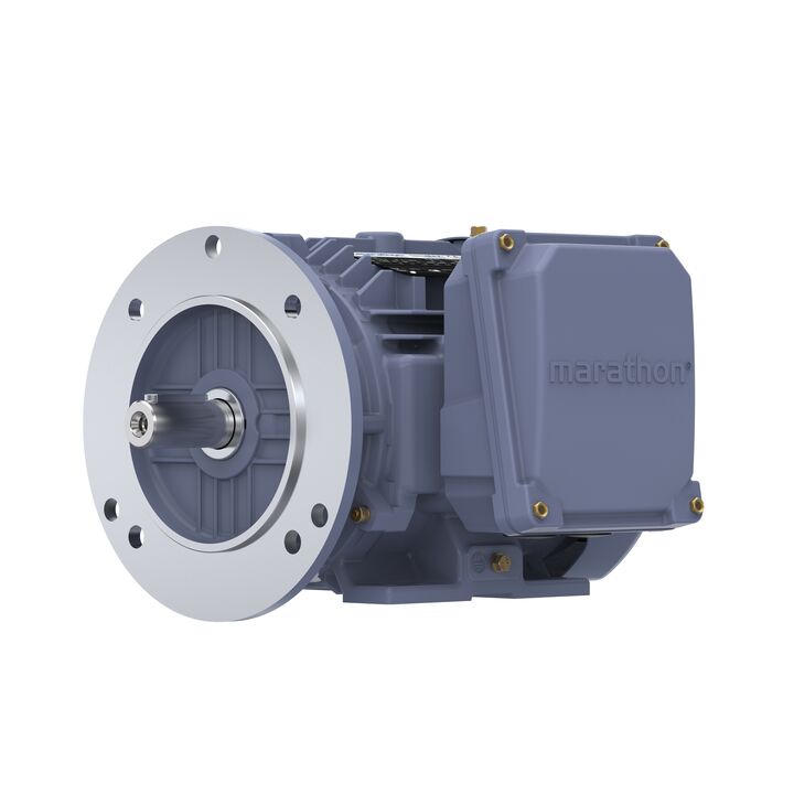 Cast Iron Motor, 1.50 HP, 3 Ph, 50 Hz, 380 V, 1500 RPM, 90S Frame, TEFC