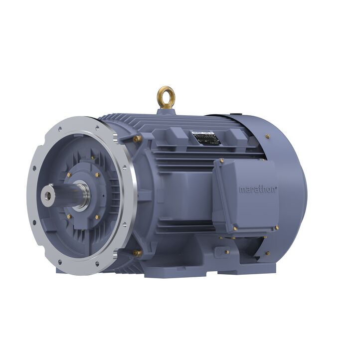Cast Iron Motor, 60 HP, 3 Ph, 50 Hz, 380 V, 750 RPM, 280M Frame, TEFC