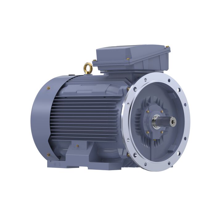 Cast Iron Motor, 270 HP, 3 Ph, 50 Hz, 415 V, 315L Frame