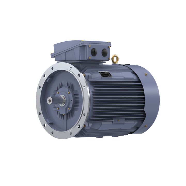 Cast Iron Motor, 150 HP, 3 Ph, 50 Hz, 380 V, 1000 RPM, 315L Frame, TEFC