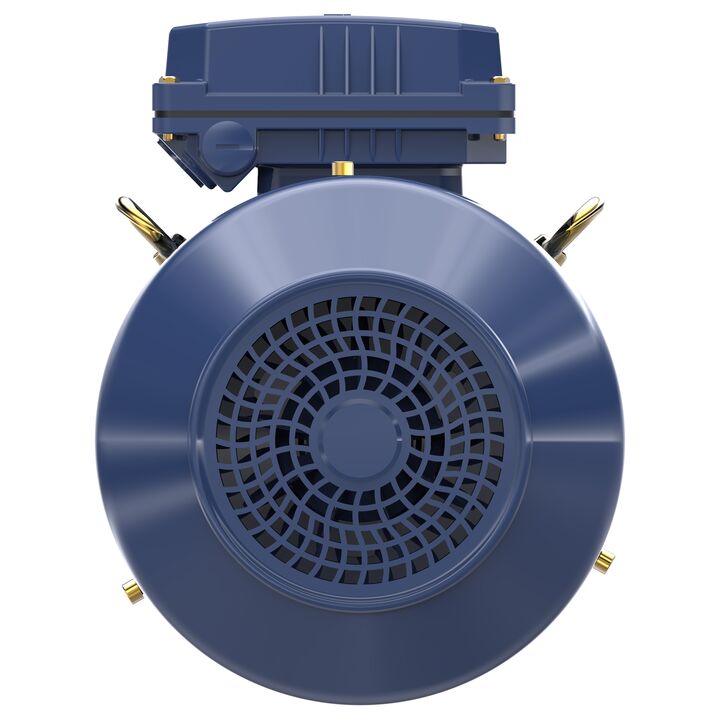 Cast Iron Motor, 1.50 & 1 HP, 3 Ph, 60 & 50 Hz, 230/460 & 200/400 V, 1200 & 1000 RPM, 100L Frame, TEFC