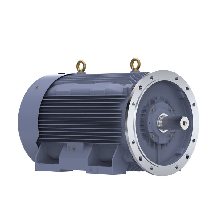 Cast Iron Motor, 270 HP, 3 Ph, 50 Hz, 380 V, 1500 RPM, 315L Frame, TEFC