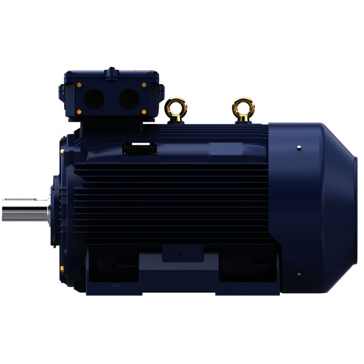 Cast Iron Motor, 150 HP, 3 Ph, 50 Hz, 400 V, 750 RPM, 315L Frame, TEFC