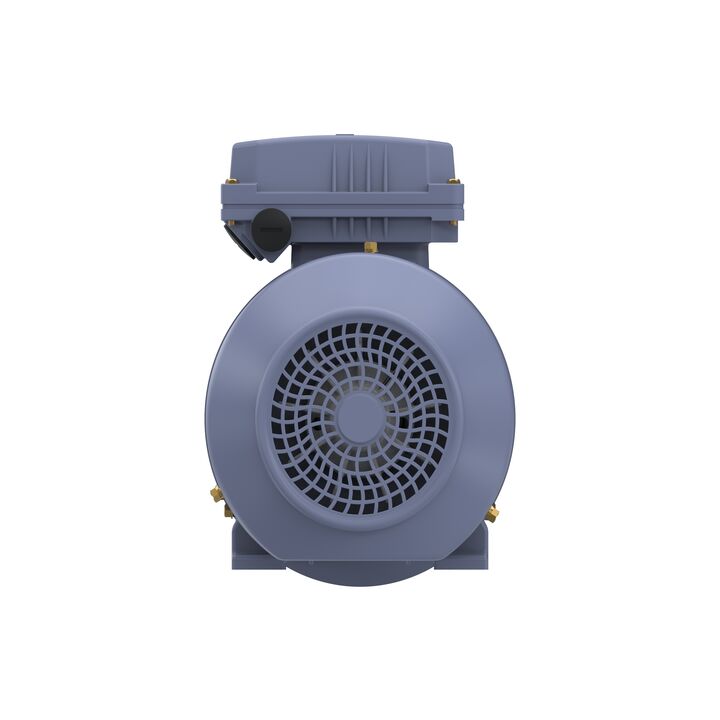 Cast Iron Motor, 2 HP, 3 Ph, 50 Hz, 380 V, 1500 RPM, 90L Frame, TEFC