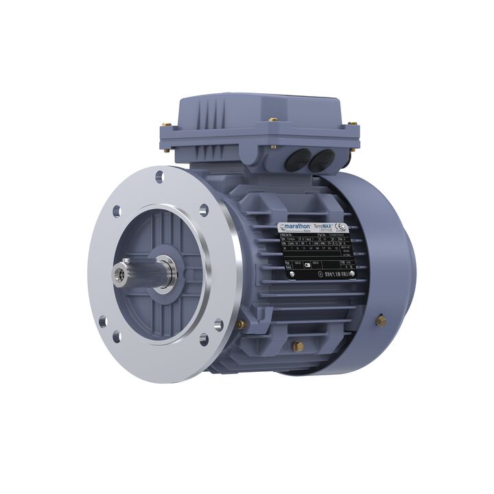 Cast Iron Motor, 1.50 HP, 3 Ph, 50 Hz, 380 V, 1500 RPM, 90S Frame, TEFC