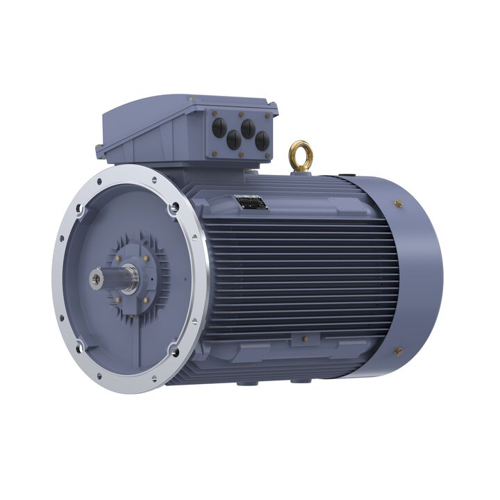 Cast Iron Motor, 295 HP, 3 Ph, 50 Hz, 380 V, 750 RPM, 355L Frame, TEFC