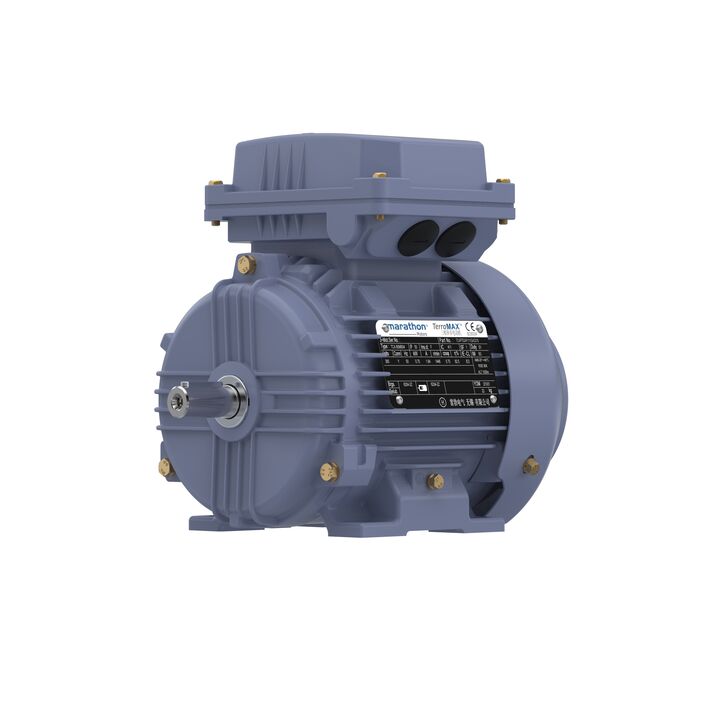 Cast Iron Motor, 1.50 HP, 3 Ph, 50 Hz, 380 V, 3000 RPM, 80M Frame, TEFC