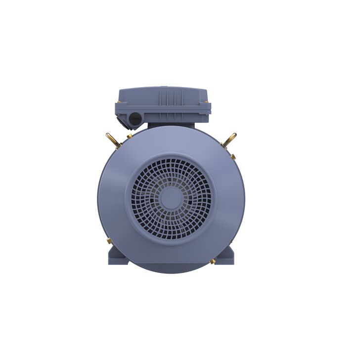 Cast Iron Motor, 5.50 HP, 3 Ph, 50 Hz, 400 V, 1000 RPM, 132M Frame, TEFC