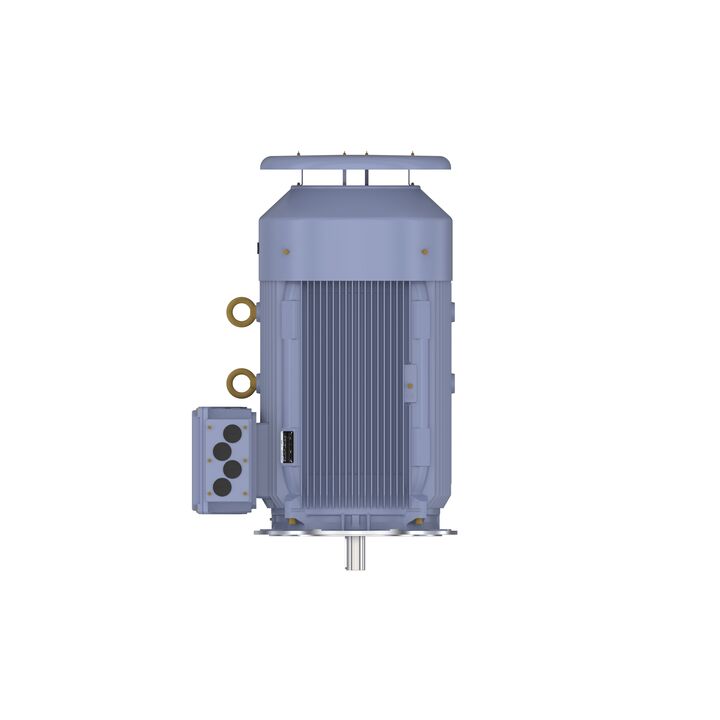 Cast Iron Motor, 270 HP, 3 Ph, 50 Hz, 400 V, 1000 RPM, 355M Frame, TEFC