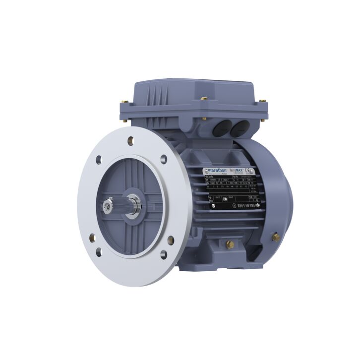 Cast Iron Motor, 1.50 HP, 3 Ph, 50 Hz, 380 V, 3000 RPM, 80M Frame, TEFC