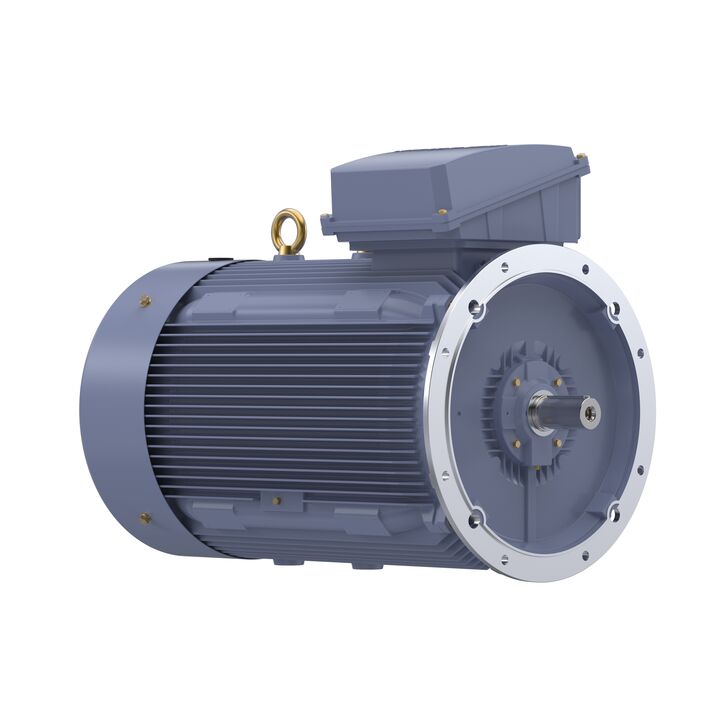 Cast Iron Motor, 270 HP, 3 Ph, 50 Hz, 415 V, 355L Frame