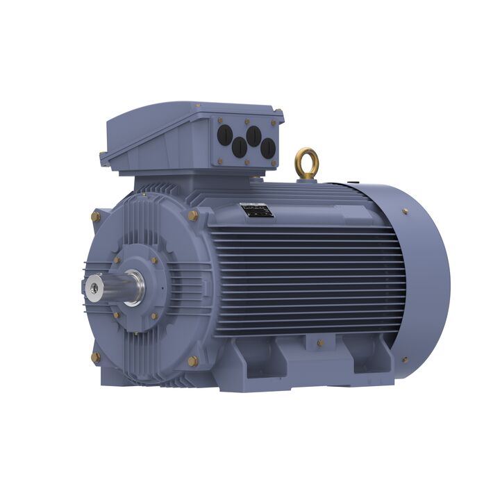 Cast Iron Motor, 270 HP, 3 Ph, 50 Hz, 400 V, 1000 RPM, 355M Frame, TEFC