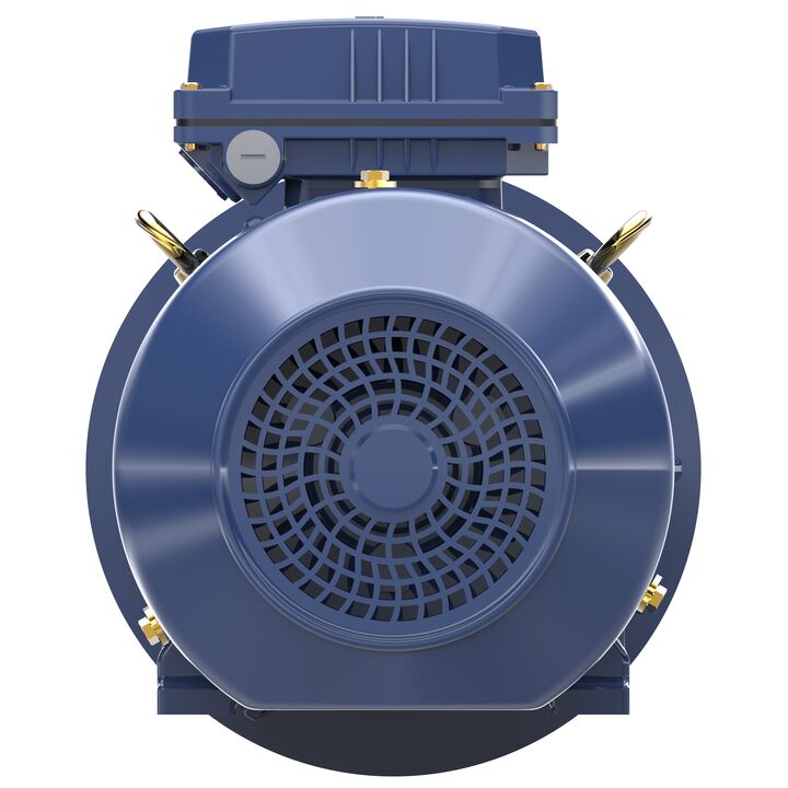 Cast Iron Motor, 3 & 2 HP, 3 Ph, 60 & 50 Hz, 230/460 & 200/400 V, 1800 & 1500 RPM, 100L Frame, TEFC