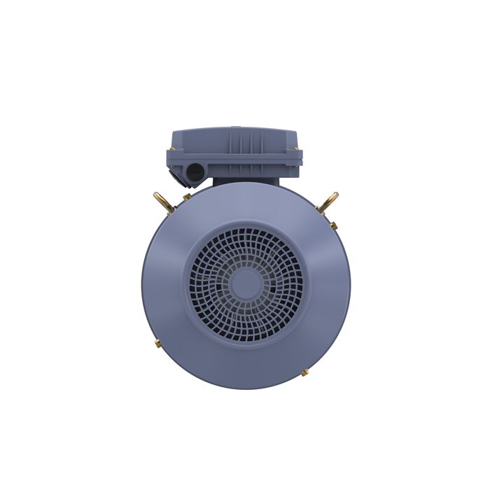 Cast Iron Motor, 5.50 HP, 3 Ph, 50 Hz, 415 V, 132M Frame