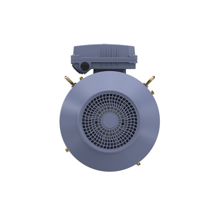 Cast Iron Motor, 5.50 HP, 3 Ph, 50 Hz, 400 V, 1000 RPM, 132M Frame, TEFC
