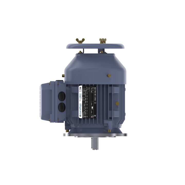 Cast Iron Motor, 1.50 HP, 3 Ph, 50 Hz, 380 V, 3000 RPM, 80M Frame, TEFC