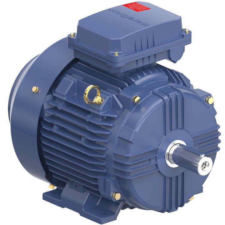 Increased Safety Motors Ex eb, Totally Enclosed Fan Cooled, 10 HP, 3 Ph, 50 Hz, 400 V, 1468 RPM, 132M Frame
